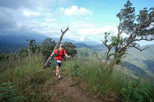 BIB: 
                            <button type="button" onclick="openModal(22372755)" class="btn btn-primary btn-sm float-right btn-popup" data-toggle="modal" data-target=".modal-high-quality">
                        <i class="fas fa-shopping-cart"></i> Add to Cart
                    </button>
                                            <button type="button" onclick="isThisMe(22372755, true)" class="btn btn-success btn-sm float-right btn-popup btn-isme hidden" data-toggle="tooltip" data-placement="bottom" title="นี่คือรูปของคุณใช่ไหม คลิกที่นี่เพื่อเอาเข้าอัลบั้ม">
                        <i class="fas fa-plus"></i> Add to album
                    </button>
                    <button type="button" onclick="isThisMe(22372755, false)" class="btn btn-warning btn-sm float-right btn-popup btn-isnotme hidden">
                        <i class="fas fa-ban"></i> Remove from album
                    </button>